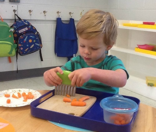 The Work of a Child’s Life : The Montessori Way!