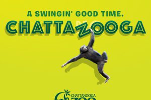 CHATTAZOOGA_Digital_300x250[1]