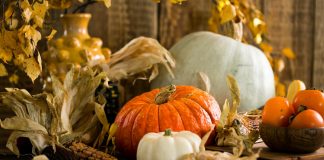 25+ Fall Food and Craft Ideas