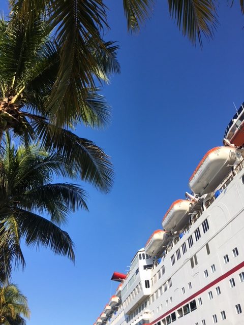 Palm Trees and Cruise Ship