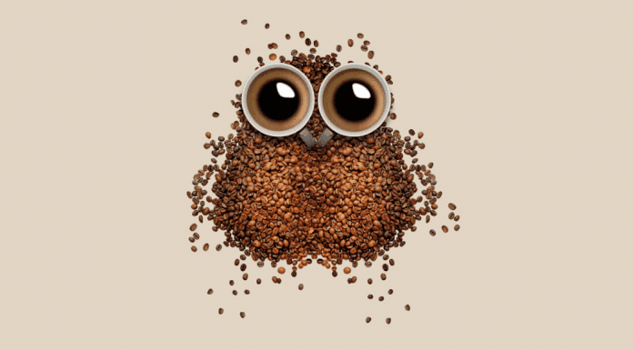 Night Owl Routines to Help the Non-Morning Person