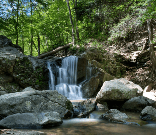 Chattanooga Area Waterfalls