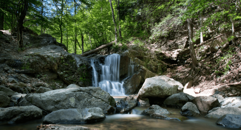 Chattanooga Area Waterfalls