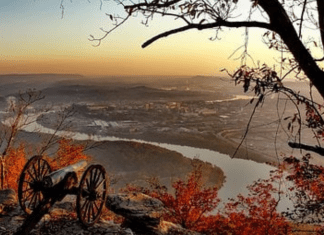 Chattanooga Fall Round-Up