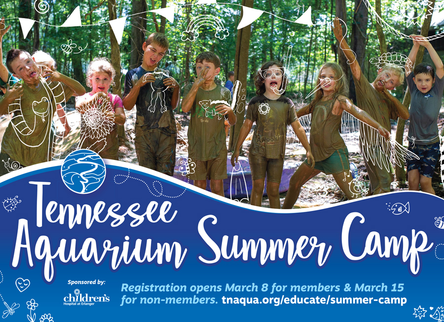 2022 Tennessee Aquarium Summer Camps