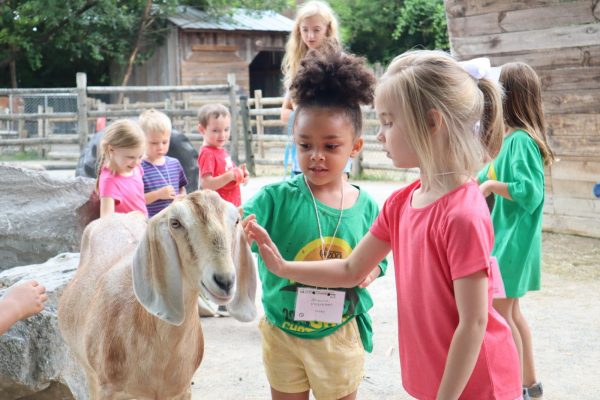 Chattanooga Zoo Camps
