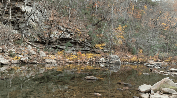 Guide To Soddy-Daisy, Tennessee