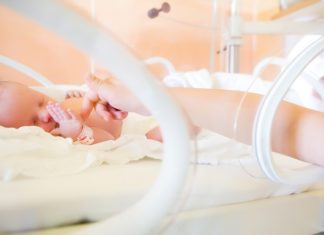 Prematurity Rates in the South