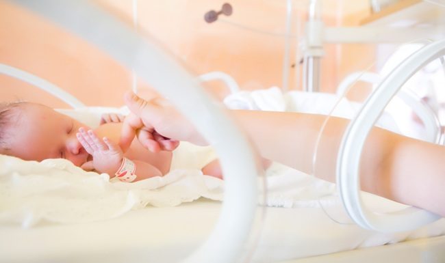 Prematurity Rates in the South