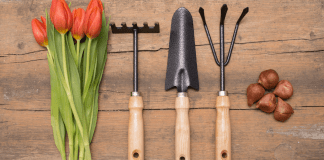 Gardening For Amateurs