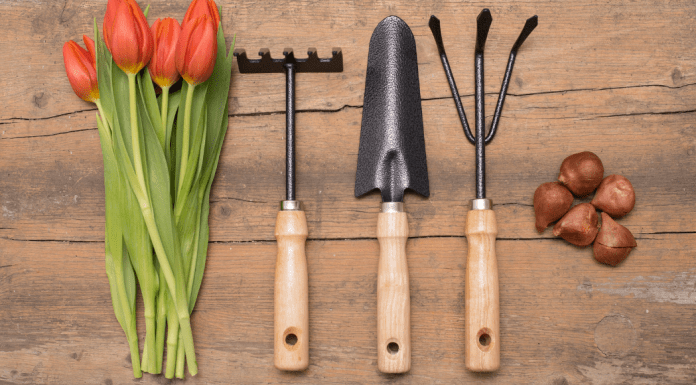 Gardening For Amateurs Gardening For Amateurs