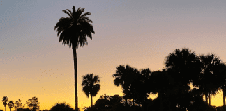 6 Reasons To Wait Until Winter To Take Your Family Beach Vacation