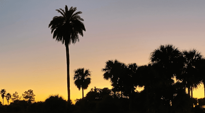6 Reasons To Wait Until Winter To Take Your Family Beach Vacation 6 Reasons To Wait Until Winter To Take Your Family Beach Vacation