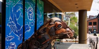 Turning Trash Into Art at the Tennessee Aquarium
