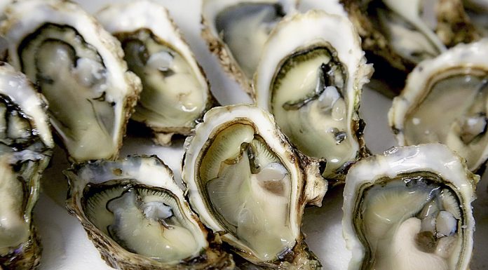 It’s Oyster Season!