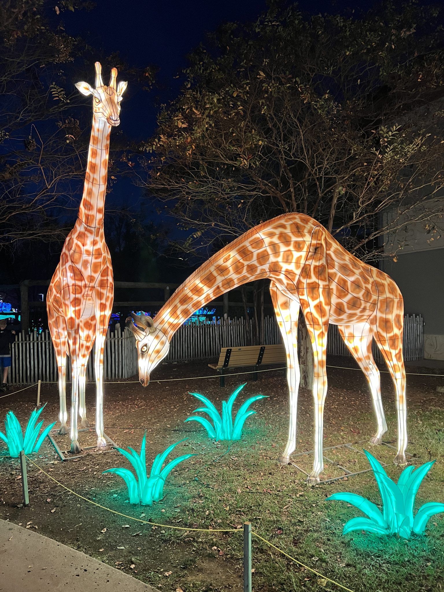 Chattanooga Zoo's Asian Lantern Festival