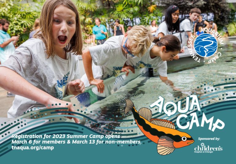 2023 Guide to Chattanooga Summer Camps