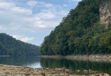 Adventuring Just Down The Road: A Closer Look At Fall Creek Falls, Rock Island, And Cloudland Canyon State Parks