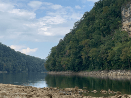 Adventuring Just Down The Road: A Closer Look At Fall Creek Falls, Rock Island, And Cloudland Canyon State Parks