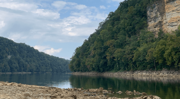 Adventuring Just Down The Road: A Closer Look At Fall Creek Falls, Rock Island, And Cloudland Canyon State Parks