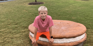 Little Debbie Park