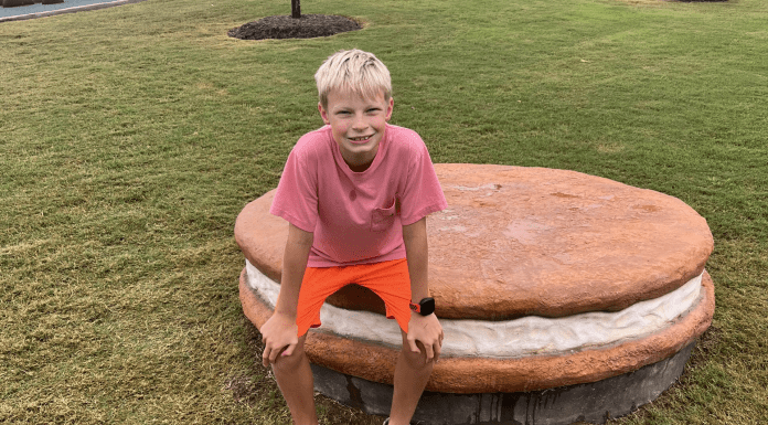 Little Debbie Park