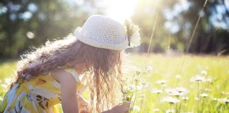 A Homeschool Seed Being Planted