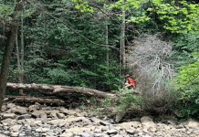 Hiking With Kids On Signal Mountain