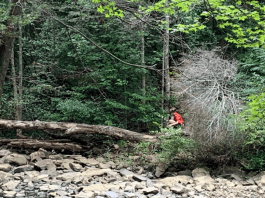 Hiking With Kids On Signal Mountain