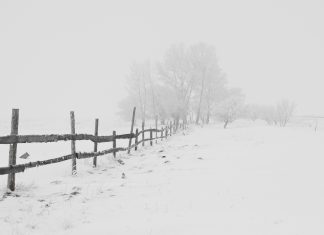 Why The South Uses THAT Winter As An Example