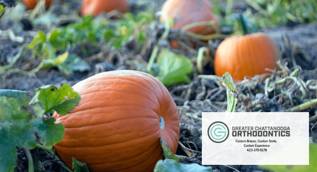 Pumpkin Patches in Chattanooga