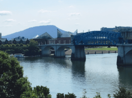 Chattanooga’s Newest Highlights: What To Check Out Around Town