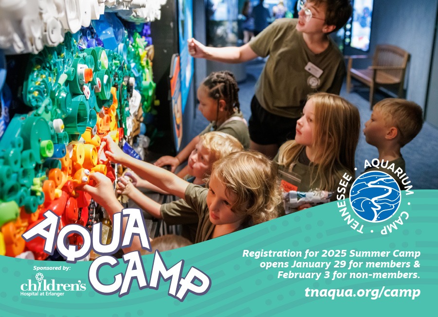 TN Aquarium Summer Camp