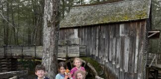Sugarlands And Cades Cove: A Day Trip To Remember!