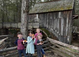 Sugarlands And Cades Cove: A Day Trip To Remember!