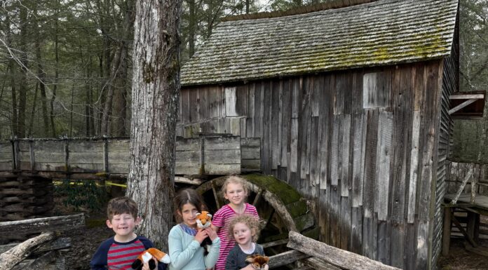 Sugarlands And Cades Cove: A Day Trip To Remember!