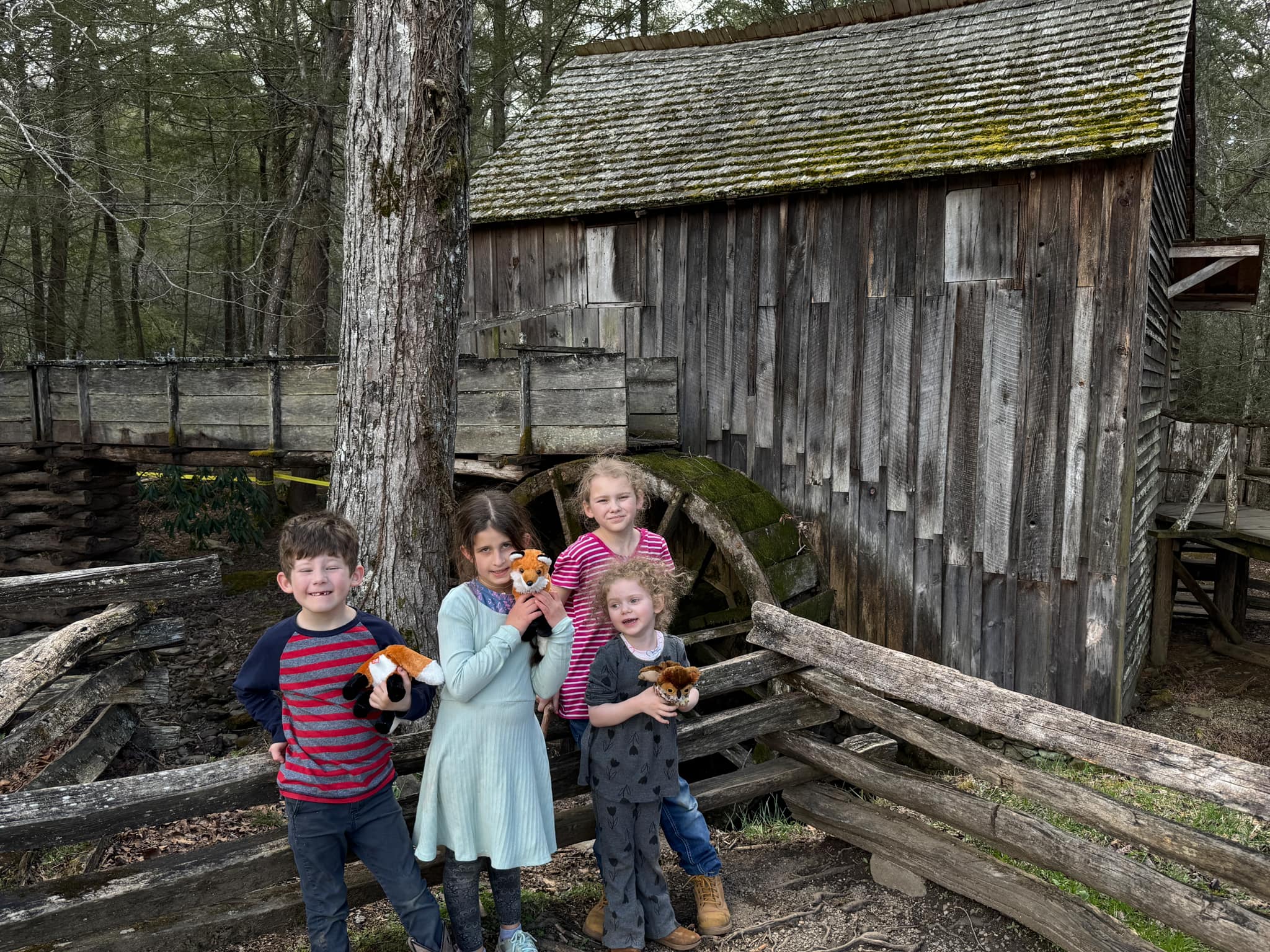 Sugarlands And Cades Cove: A Day Trip To Remember!