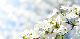 Embracing A Simple, Joyful Summer