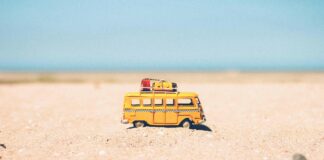 Summer Schedule To Keep Us Moving