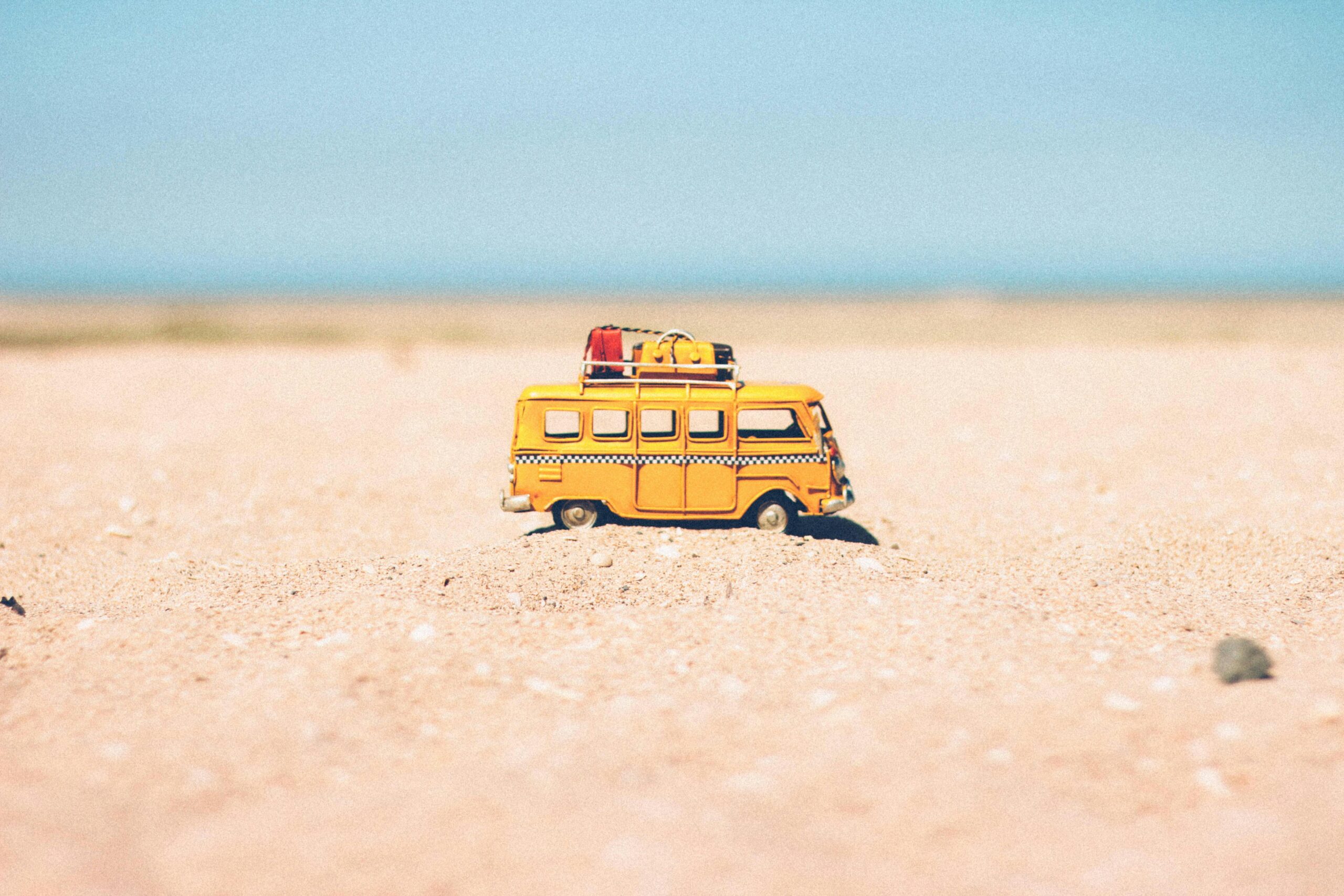 Summer Schedule To Keep Us Moving 