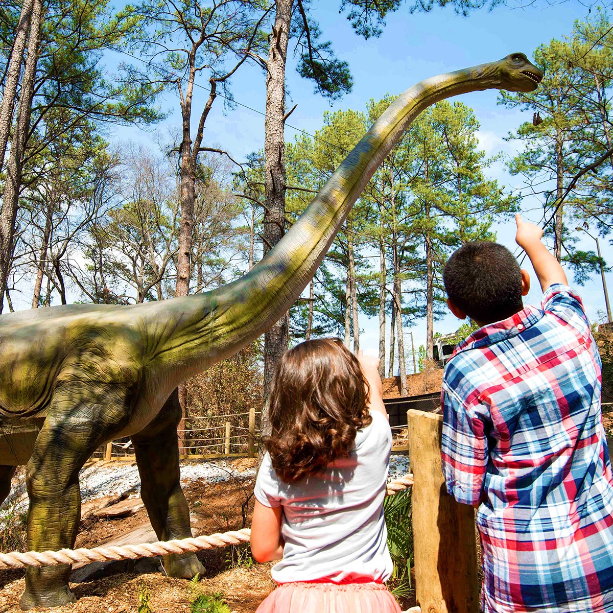 SMP Dinosaur