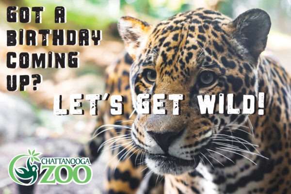 Chattanooga Zoo Birthday Party