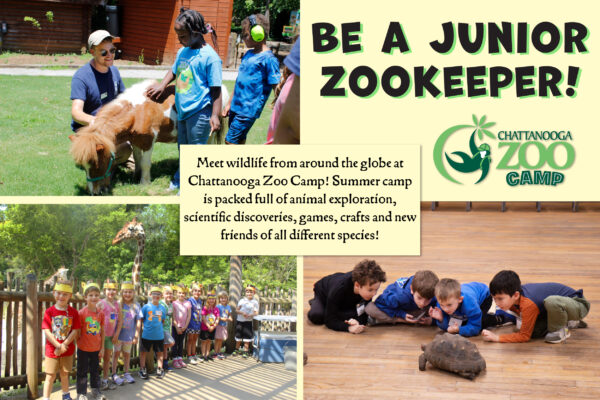 2026 Chatt Zoo Summer Camp