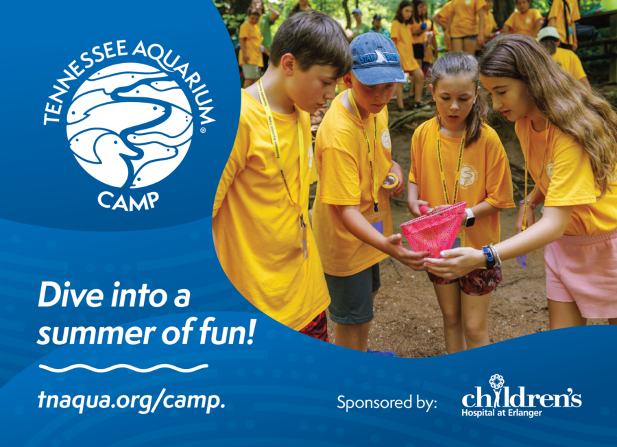 Tennessee Aquarium Summer Camp