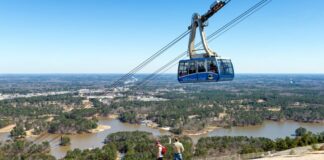 Stone Mountain