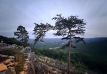 Sunset McLemore