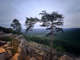 Sunset McLemore