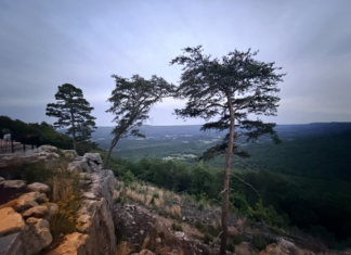 Sunset McLemore