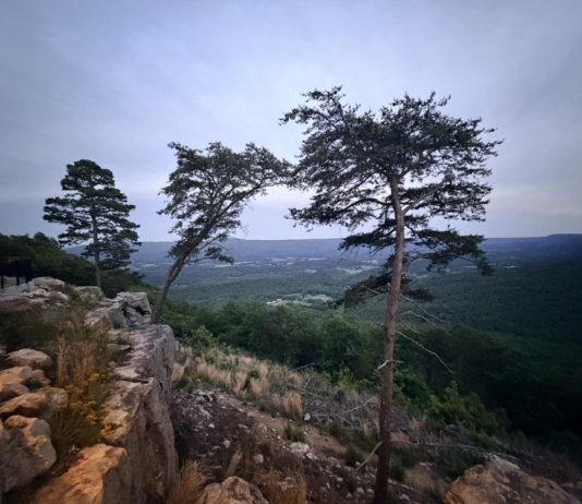 Sunset McLemore