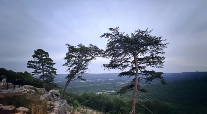 Sunset McLemore